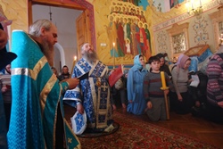 116,19 Kb [1024X683]